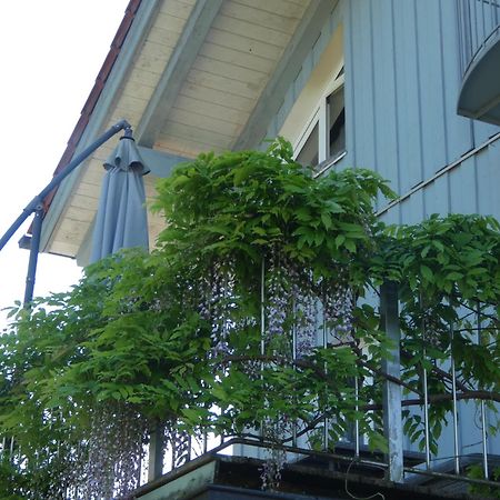 Ferienwohnung Laura Laeufers Chiemsee Holiday Home Gstadt Gstadt am Chiemsee Exterior photo